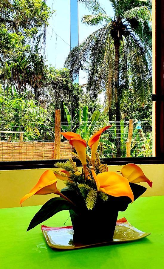 Bela Ipe Pousada Hostel Apart Morro de São Paulo Dış mekan fotoğraf